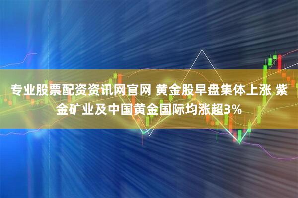 专业股票配资资讯网官网 黄金股早盘集体上涨 紫金矿业及中国黄金国际均涨超3%