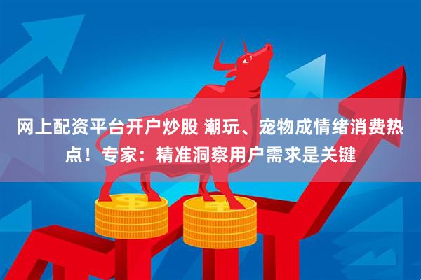 网上配资平台开户炒股 潮玩、宠物成情绪消费热点！专家：精准洞察用户需求是关键