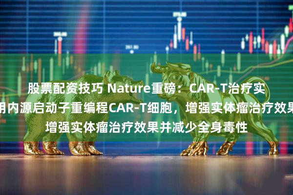 股票配资技巧 Nature重磅：CAR-T治疗实体瘤新突破，利用内源启动子重编程CAR-T细胞，增强实体瘤治疗效果并减少全身毒性